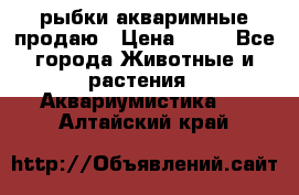 рыбки акваримные продаю › Цена ­ 30 - Все города Животные и растения » Аквариумистика   . Алтайский край